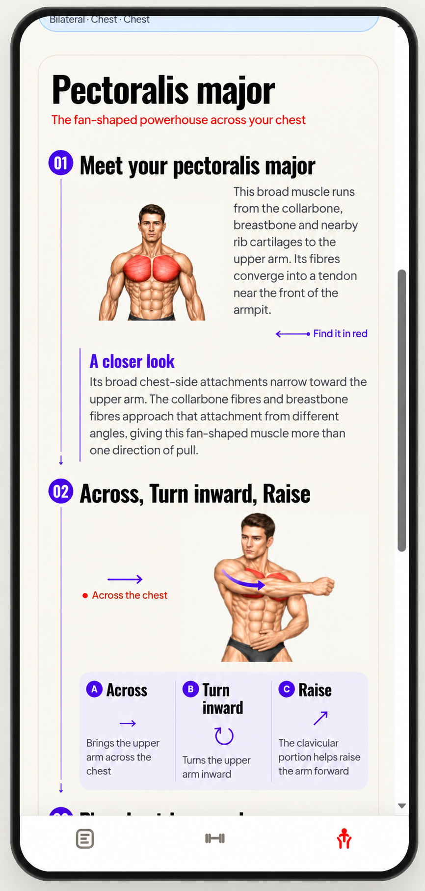 MyMyo pectoralis major guide explaining chest anatomy and movements with illustrations